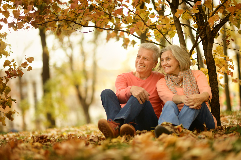 Elderly couple in the park